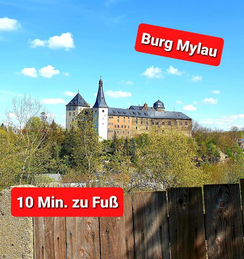 Ferienwohnung "Blick Mylau" - Naehe Freizeitpark Plohn & Weltgroesster Ziegelsteinbruecke Reichenbach im Vogtland Ngoại thất bức ảnh