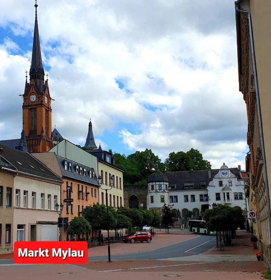 Ferienwohnung "Blick Mylau" - Naehe Freizeitpark Plohn & Weltgroesster Ziegelsteinbruecke Reichenbach im Vogtland Ngoại thất bức ảnh