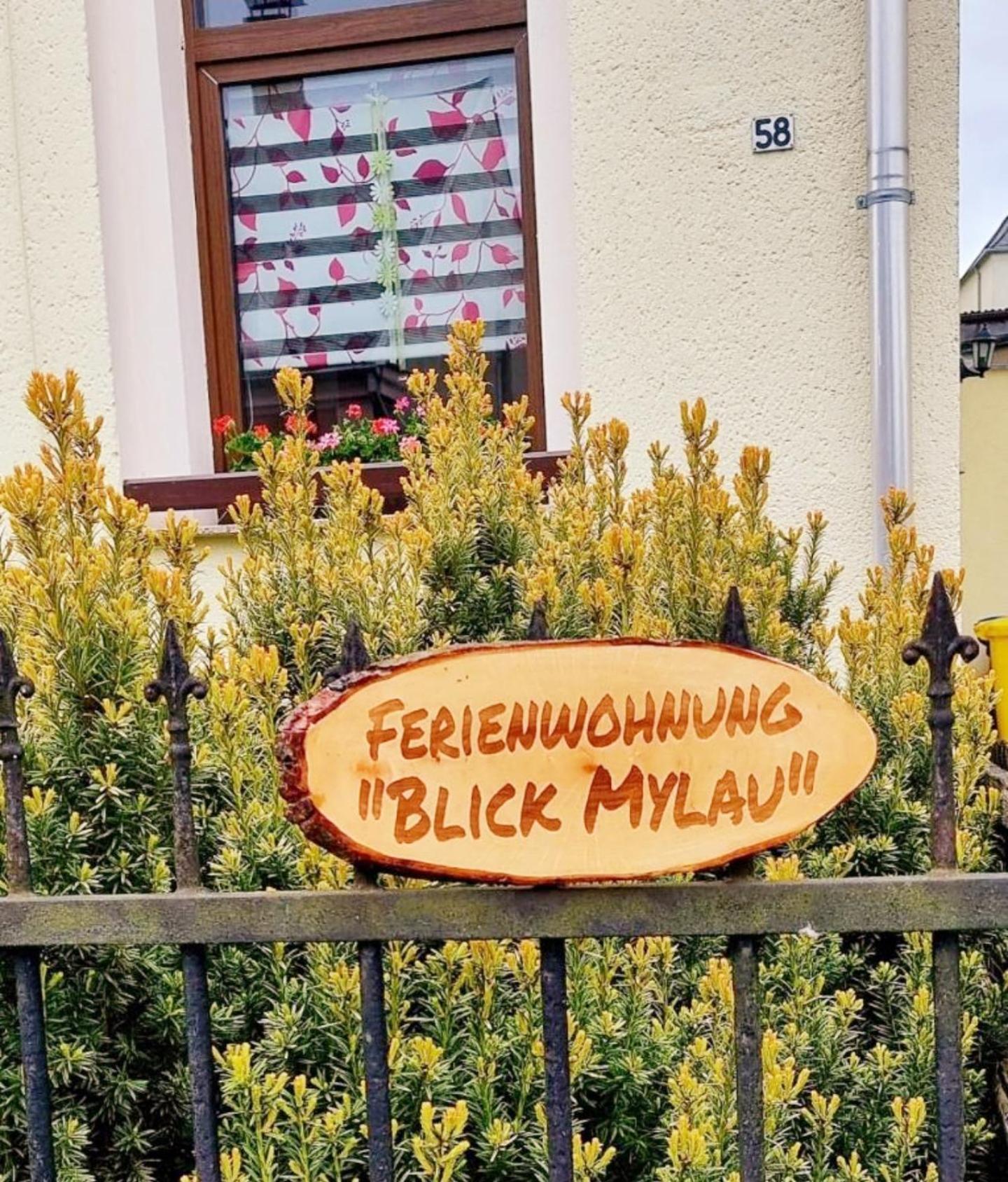 Ferienwohnung "Blick Mylau" - Naehe Freizeitpark Plohn & Weltgroesster Ziegelsteinbruecke Reichenbach im Vogtland Ngoại thất bức ảnh