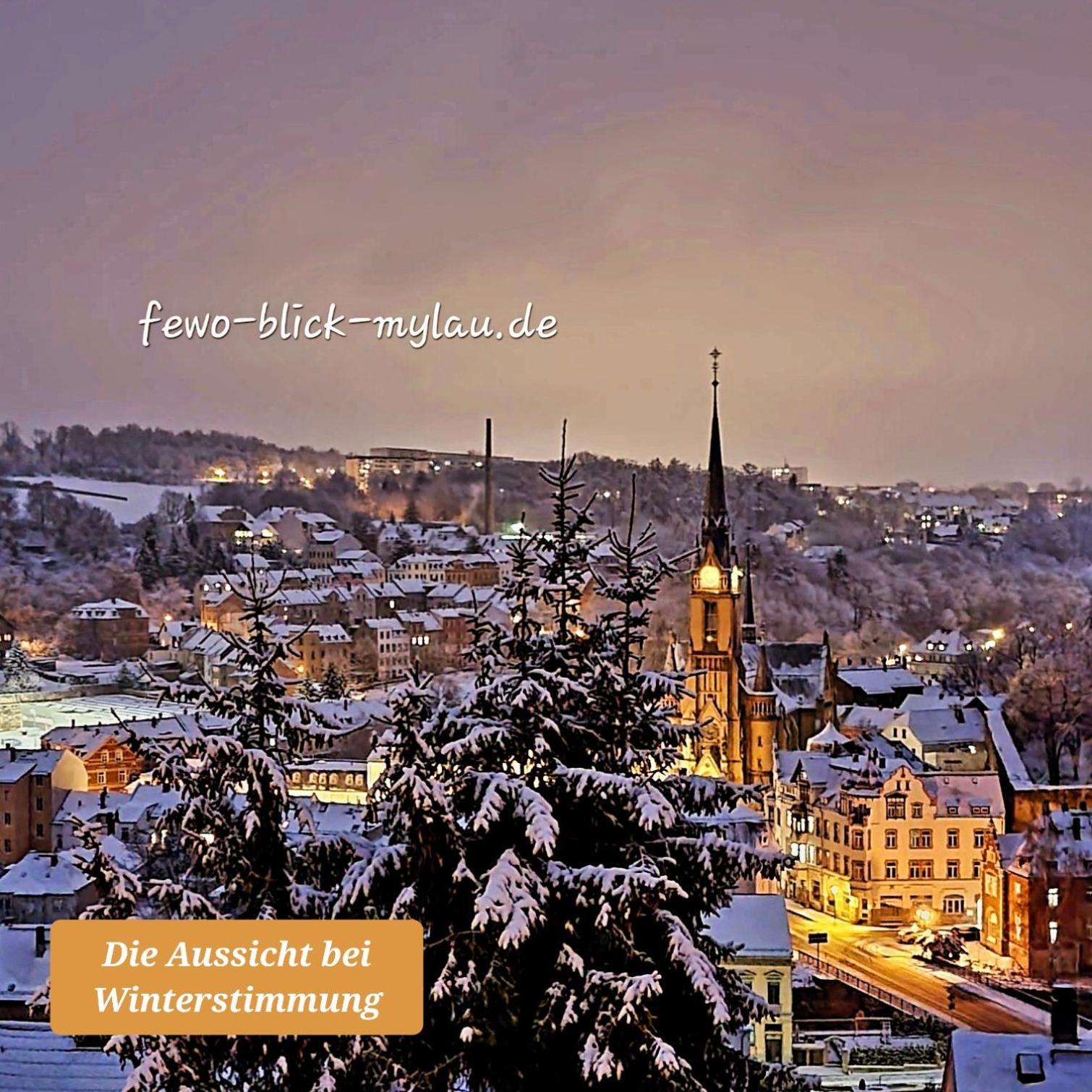 Ferienwohnung "Blick Mylau" - Naehe Freizeitpark Plohn & Weltgroesster Ziegelsteinbruecke Reichenbach im Vogtland Ngoại thất bức ảnh